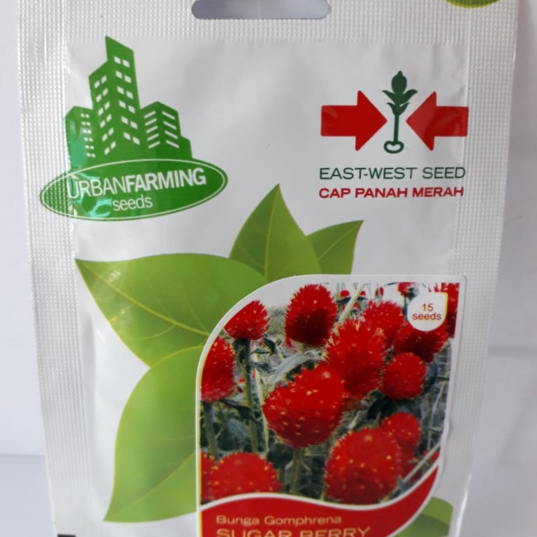 Benih Bunga Gomphrena Sugar Berry F1 – Cap Panah Merah - IPB Shop Official
