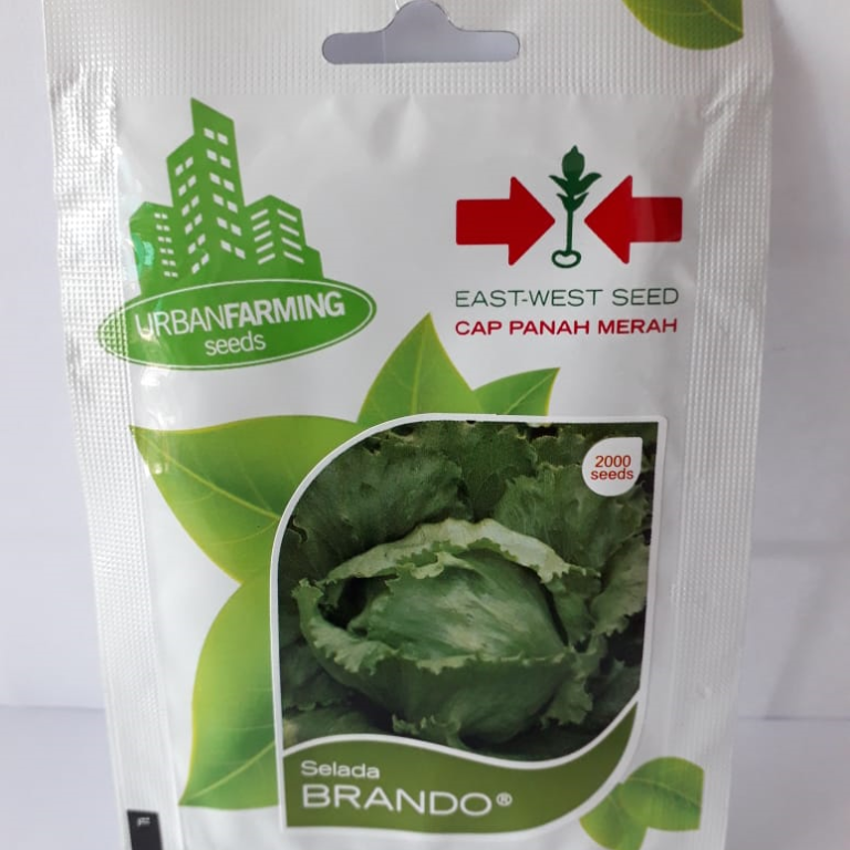 Benih Selada Brando F1 – Cap Panah Merah - IPB Shop Official