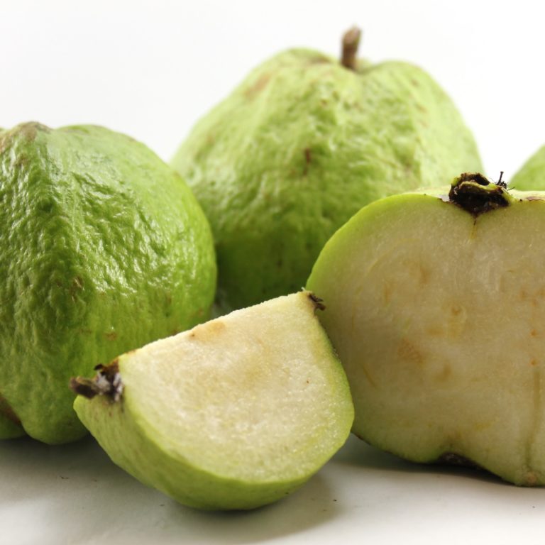 Jambu kristal B - IPB Shop Official