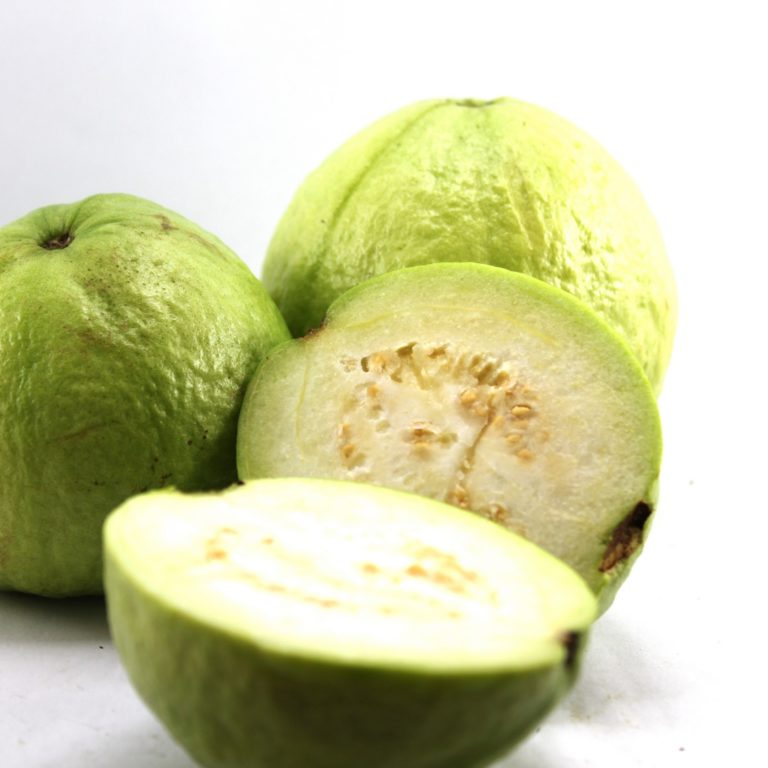 Jambu mutiara B - IPB Shop Official