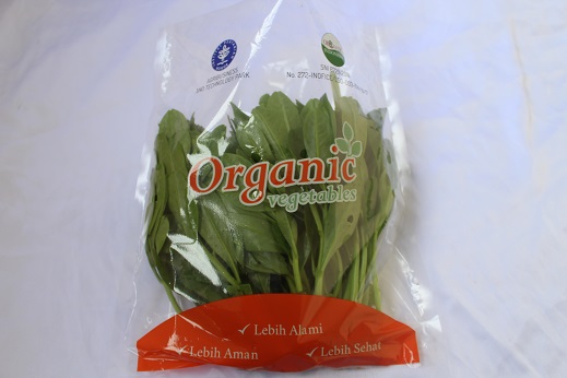 pakcoy organik - IPB Shop Official