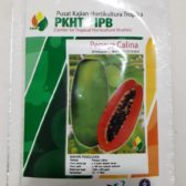 Benih Pepaya Callina – PKHT IPB - IPB Shop Official