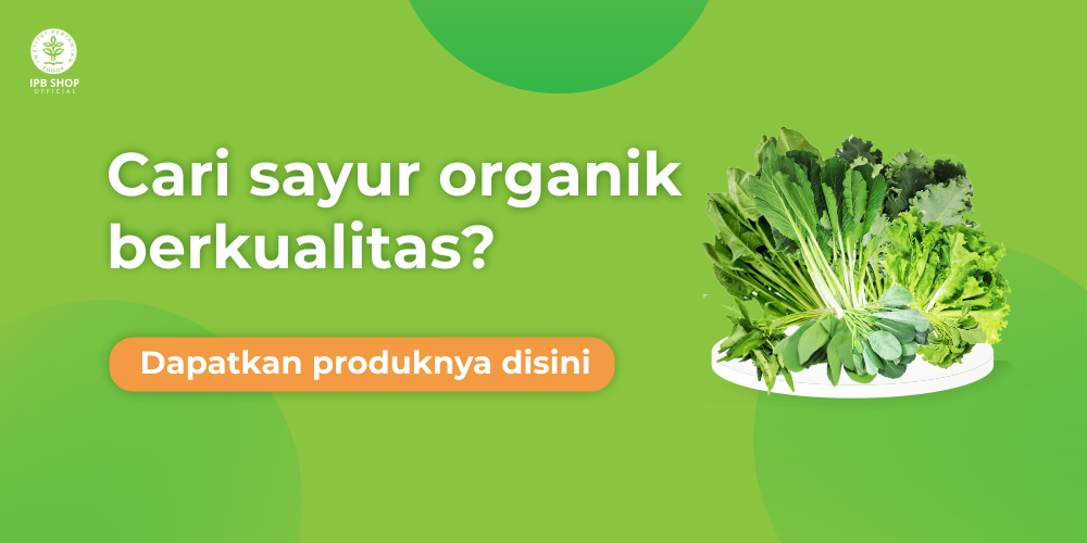 Promo IPB Shop Official