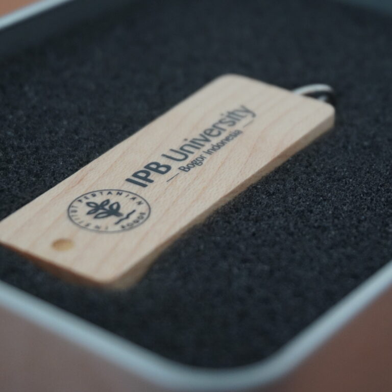 Flashdisk 16GB IPB - IPB Shop Official